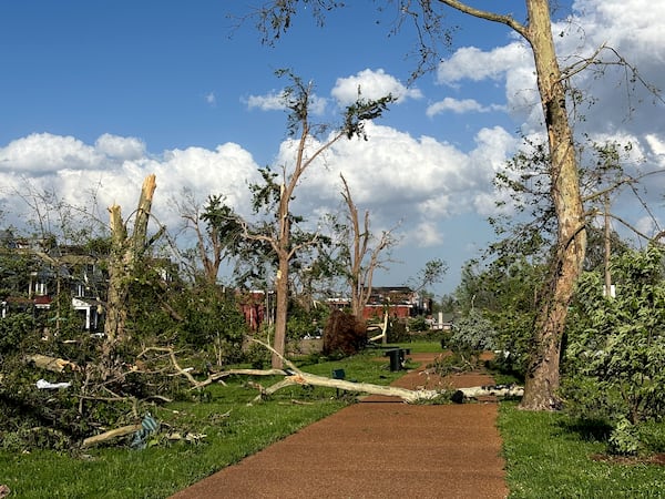 Damaged and fallen trees are seen in St. Louis, Missouri, on Friday, May 16, 2025 when severe storms, including a possible tornado, swept through the city. (AP Photo/Michael Phillis)