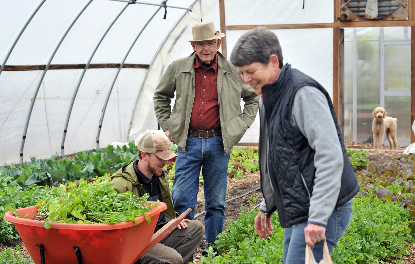 Personal Journeys: Sowing seeds of change