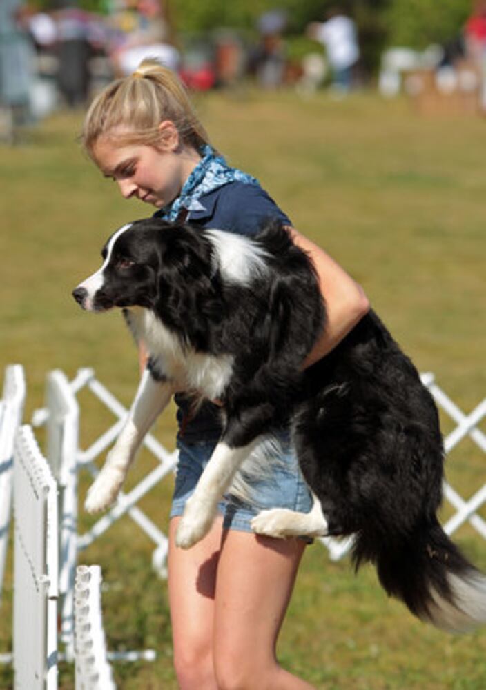 Gwinnett Humane Society's 18th Annual PAWfest
