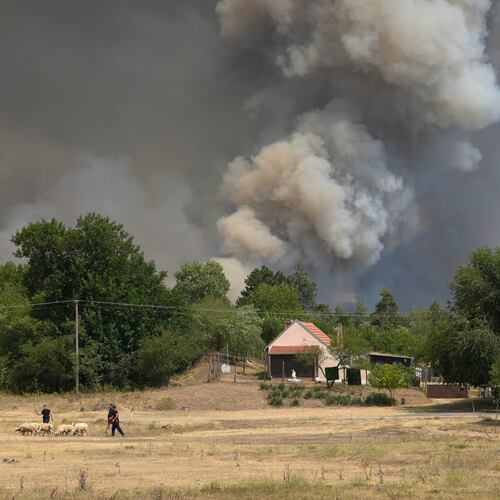 smoke emerges from a forest during a wildfire in Deliblatska Pescara (Deliblato Sands), near the village of Sumarak, 70 kilometers north-west of Belgrade, Serbia, Friday, Aug. 7, 2026. (AP Photo/Darko Vojinovic)