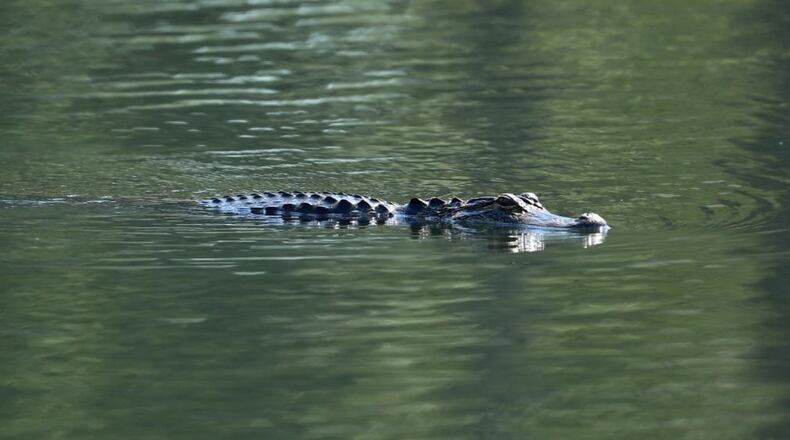 File photo.  (Photo by Warren Little/Getty Images)