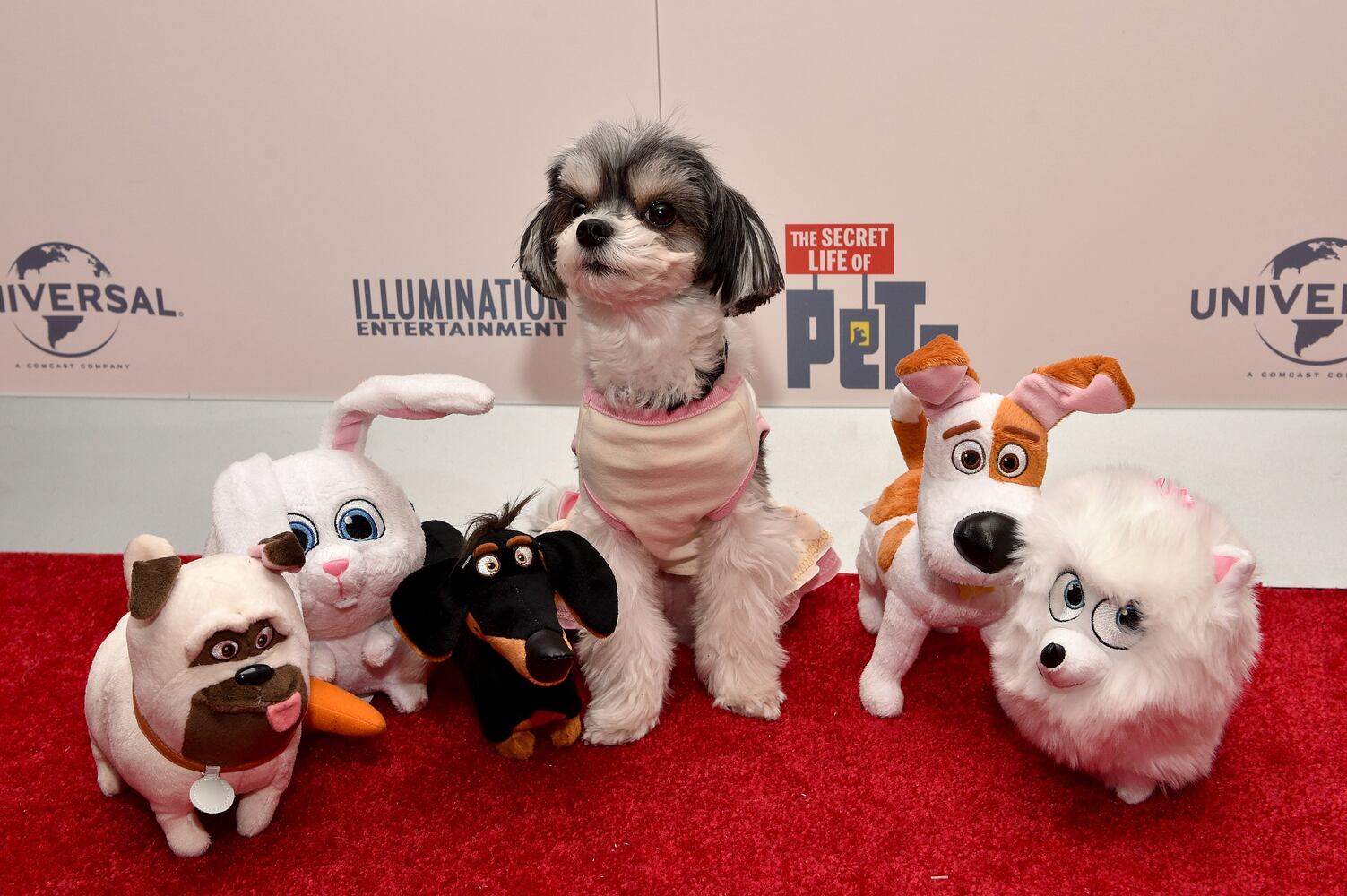2016 International Toy Fair