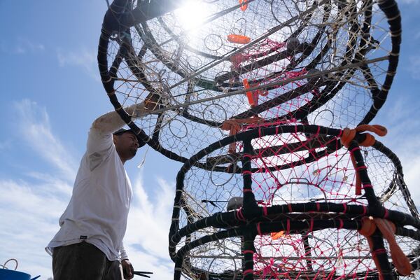 James Sanders loads crab traps onto the boat Pale Horse at Pier 45 in San Francisco, Thursday, April 10, 2025. The boat's crew is trying out pop-up gear aimed at preventing whale entanglements. (AP Photo/Emily Steinberger)
