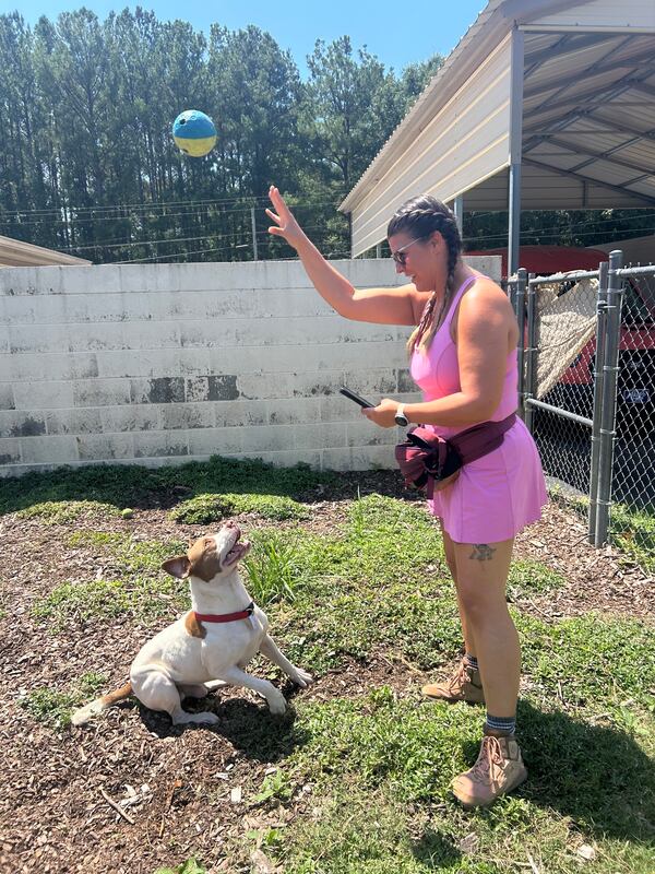 Katie Ceraso has been posting a shelter dog a day in an effort to achieve more visibility for the pups. She recently highlighted Milk Man, a pit bull terrier who loves to play with balls. (Olivia Wakim/AJC)