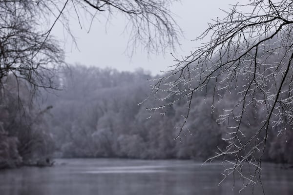 Ice coats tree branches along the Chattahoochee River at Don White Memorial Park in Roswell on Sunday, Jan. 25, 2026. (Natrice Miller/AJC)