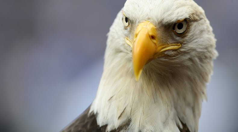 (Photo by Nick Laham/Getty Images)