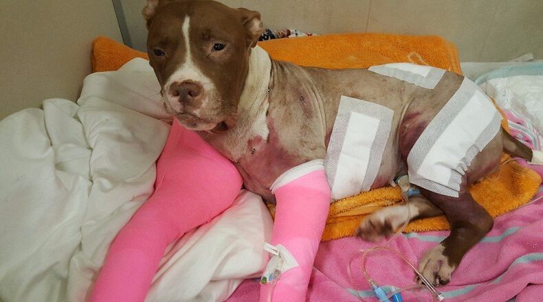 Coco was shot four times.