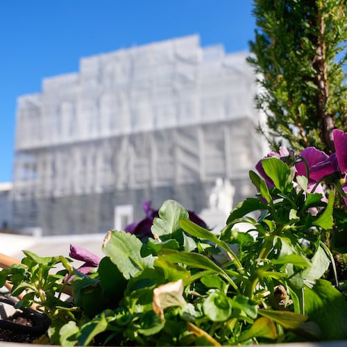With flowers in the foreground, construction on the front of the U.S. Supreme Court continues Monday, Nov. 24, 2025, in Washington. (AP Photo/Mariam Zuhaib)