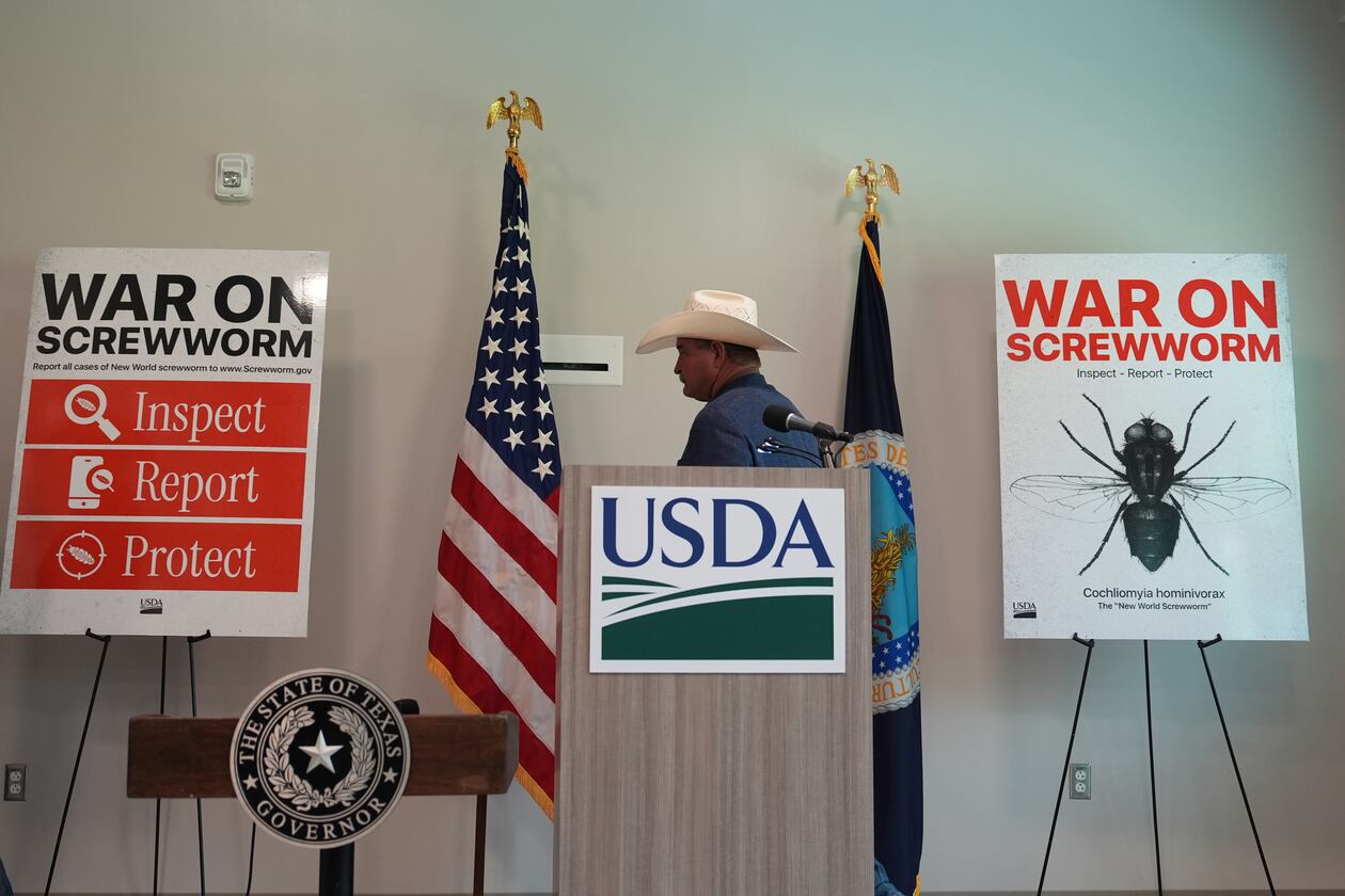 A ranchers arrivse for a news conference with U.S. Agriculture Secretary Brooke Rollins at the Knipling-Bushland U.S. Livestock Insects Research Laboratory in Kerrville, Texas, Monday, June 8, 2026. (AP Photo/Eric Gay)