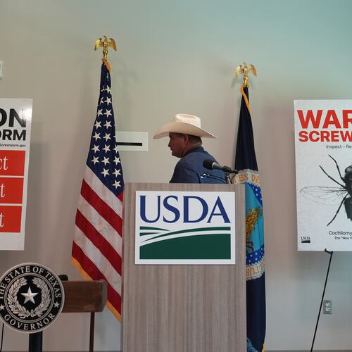 A ranchers arrivse for a news conference with U.S. Agriculture Secretary Brooke Rollins at the Knipling-Bushland U.S. Livestock Insects Research Laboratory in Kerrville, Texas, Monday, June 8, 2026. (AP Photo/Eric Gay)
