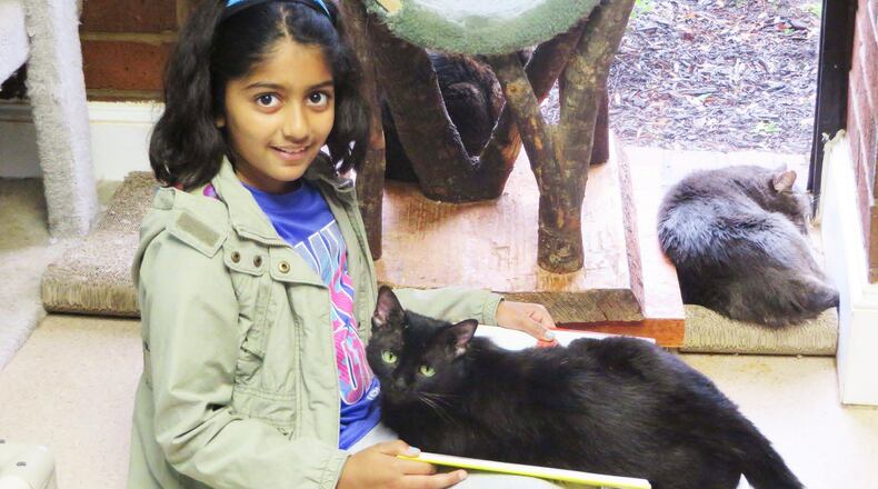 Furkids cat on girl’s lap