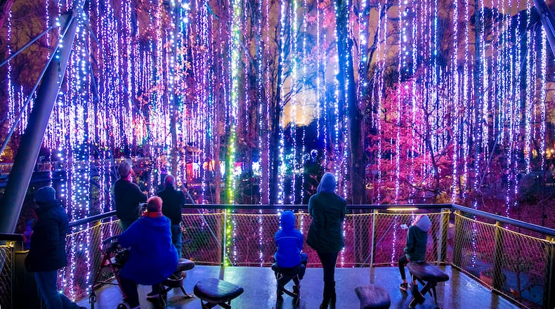 “Nature’s Wonders,” a synchronized curtain of light, sparkles with 265,980 light bulbs at the Atlanta Botanical Garden’s Garden Lights, Holiday Nights. Courtesy of Atlanta Botanical Garden