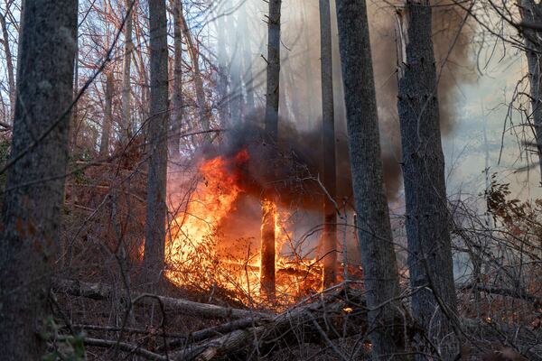 FILE - The Black Cove Fire burns, March 26, 2025, in Saluda, N.C. (AP Photo/Allison Joyce, File)