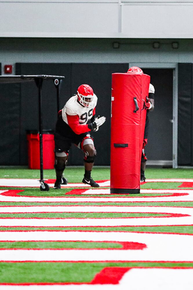 Georgia Bulldogs