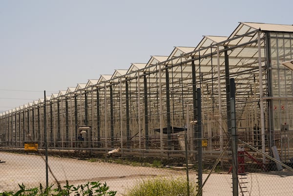 An exterior of Glass House Farms is shown, a day after an immigration raid on the facility, on Friday, July 11, 2025, in Camarillo, Calif. (AP Photo/Damian Dovarganes)