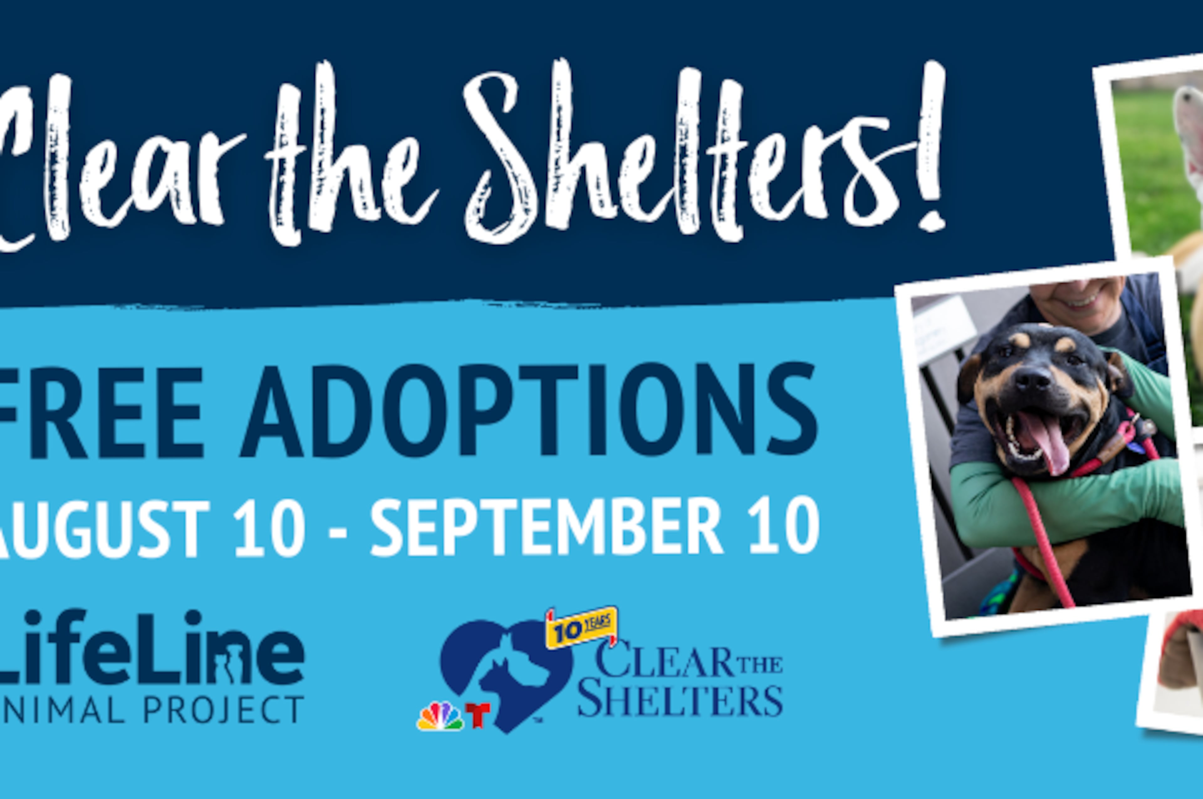 Clear the Shelters