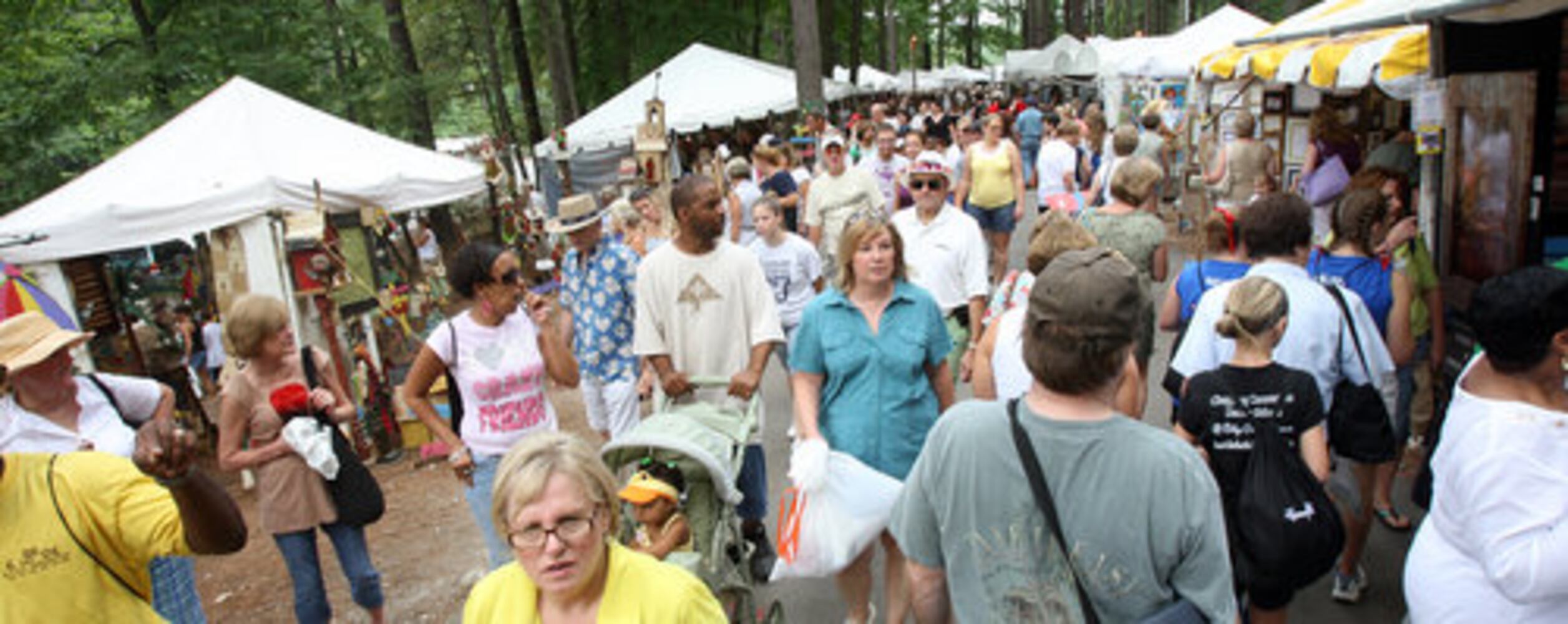 Yellow Daisy Festival