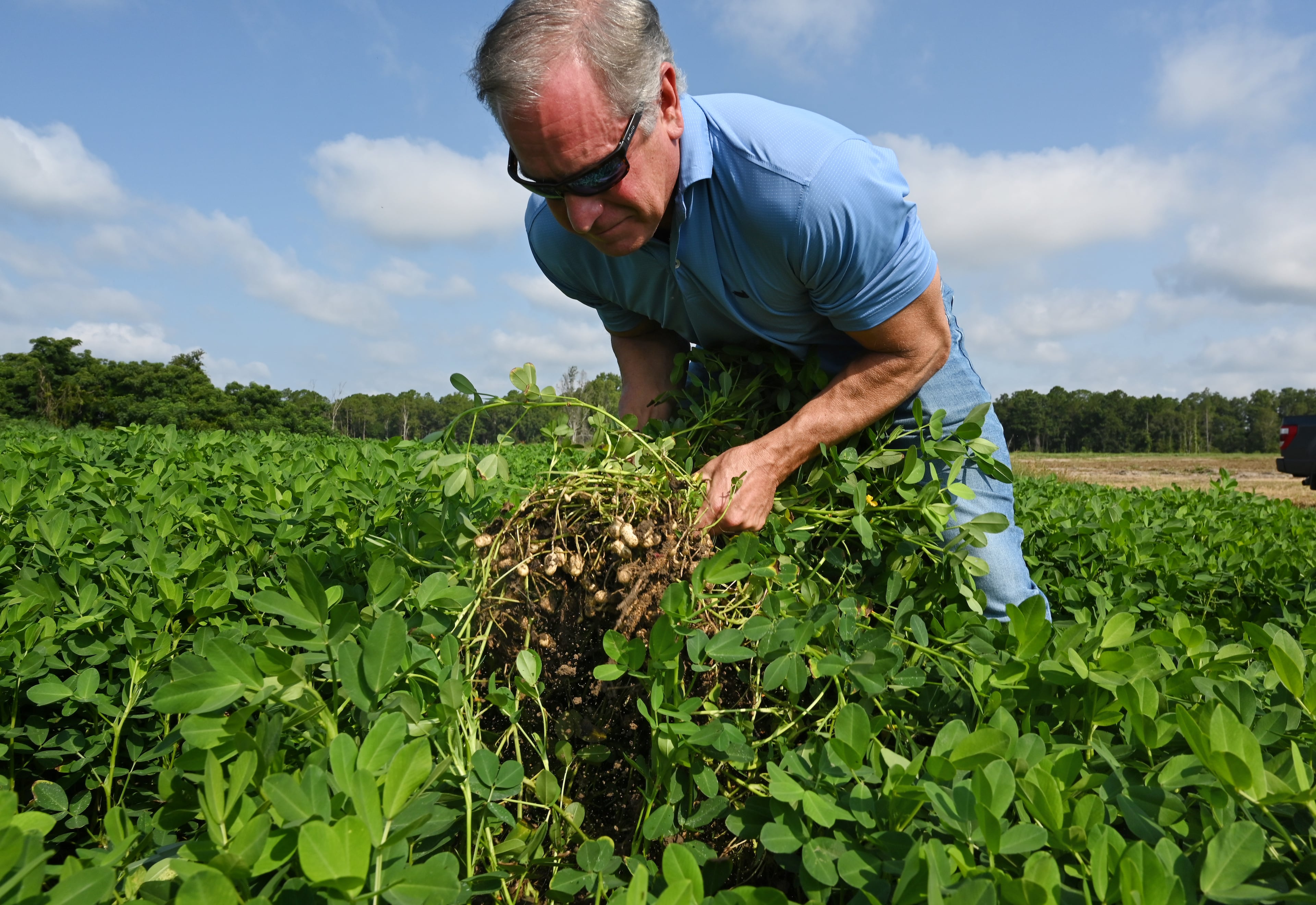 Ken Hardy and his family tend about 4,000 acres of farmland, roughly a quarter of it for growing peanuts. (Hyosub Shin/AJC)