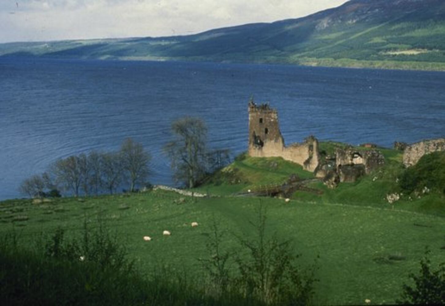 Vote for the New 7 Natural Wonders