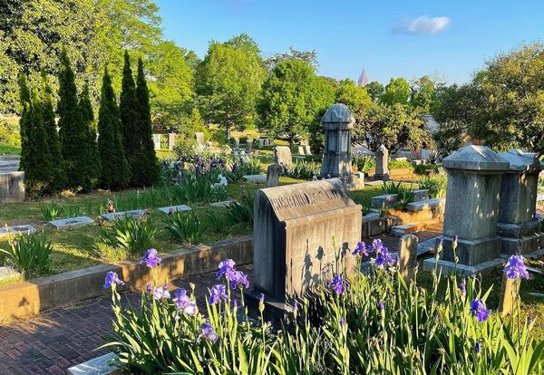 Take a tour of the mature plants and trees on Oakland Cemetery’s grounds during the Spring to Life Festival. (Courtesy of Oakland Cemetery)