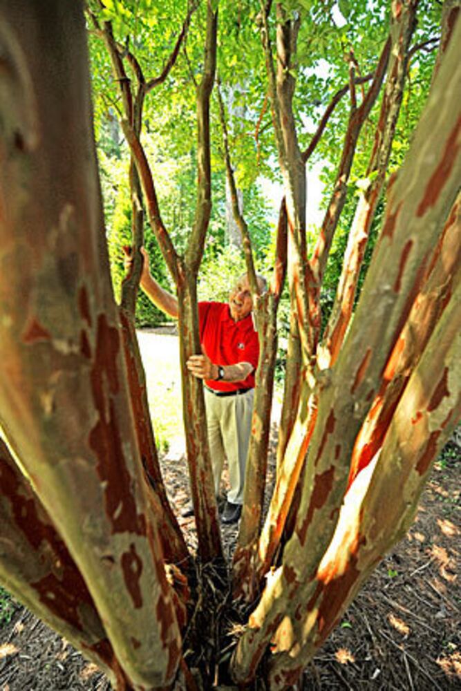 Vince Dooley's Amazing Garden