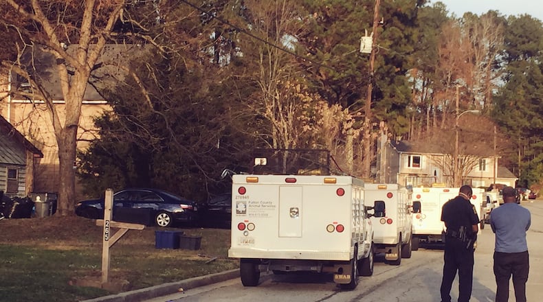 Officials found more than 50 dogs after a house fire in South Fulton County on Sunday.