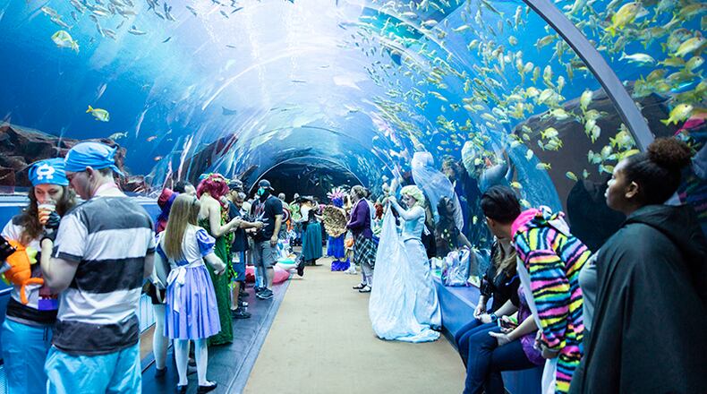 Sept. 3 will be Dragon Con Night at the Georgia Aquarium for $40 for general admission tickets. (Courtesy of Georgia Aquarium)