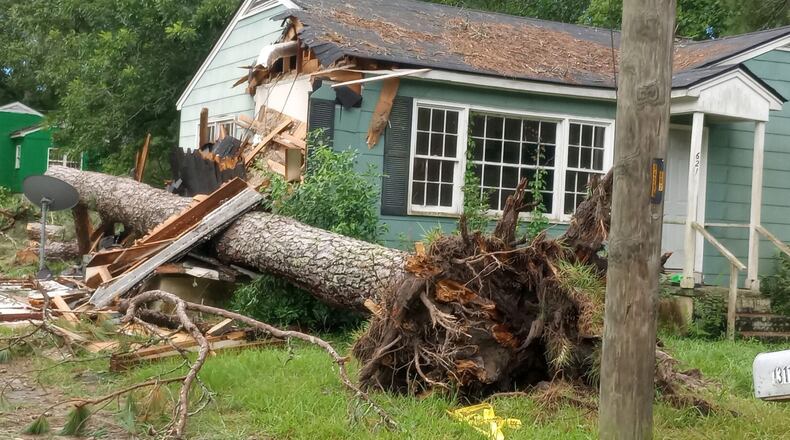 A downed pine tree uprooted by winds on Monday afternoon killed 19-year-old Moultrie resident Darrien Razz. (Photo Courtesy of Alan Mauldin)