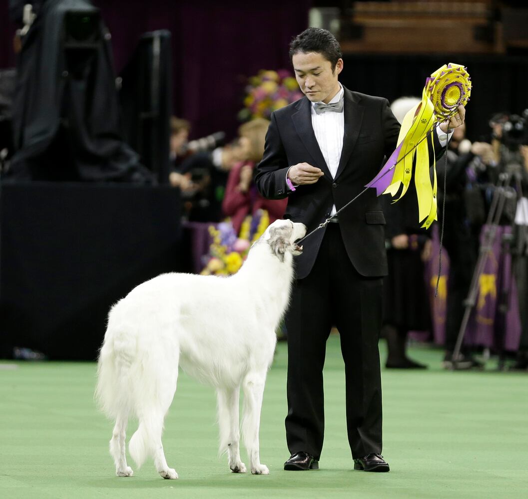 140th Westminster Kennel Club Dog Show