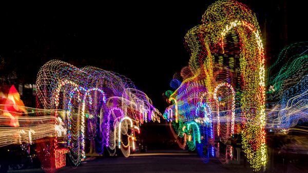 Residents put out candy cane shaped Christmas lights along Hollywood Street in the Heights neighborhood in Jupiter.  (Richard Graulich / The Palm Beach Post)