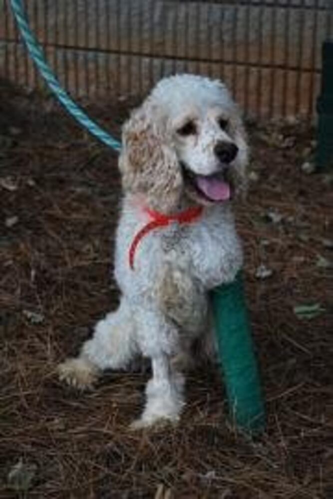 Can you find me a home, please?