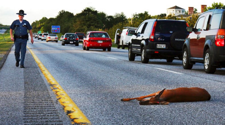 Who is responsible for picking up roadkill in Gwinnett County?