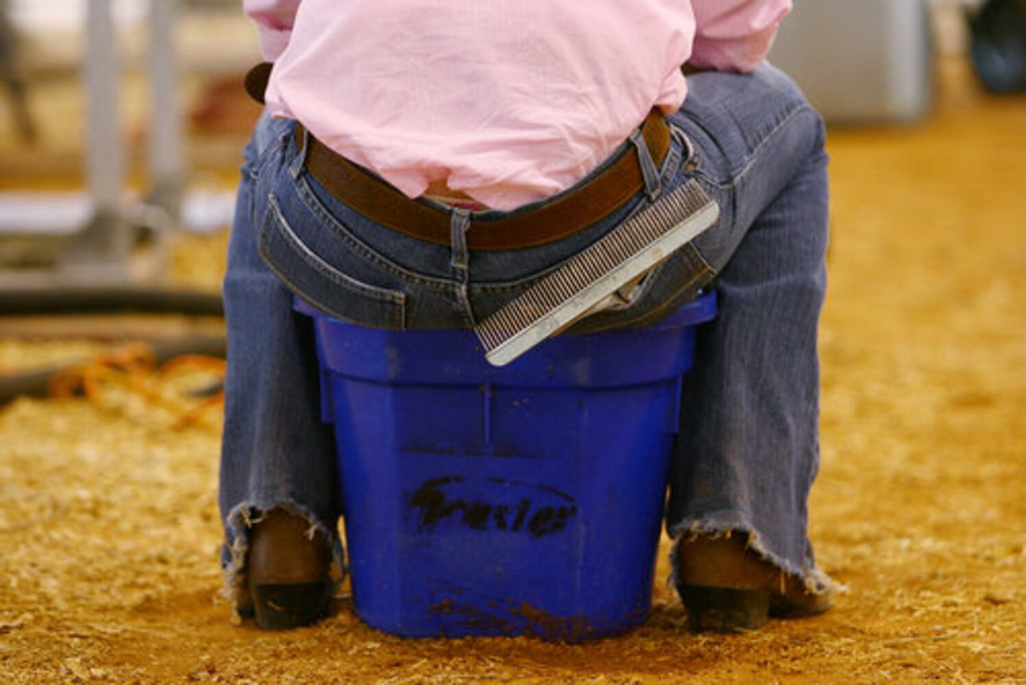 Teen shows heifer at Gwinnett County Fair