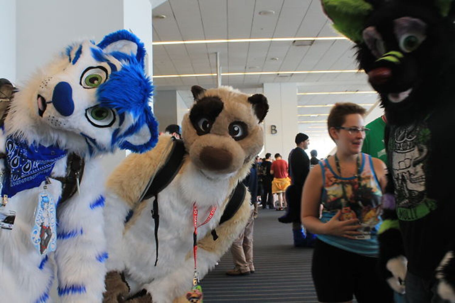 PHOTOS: Anthrocon 2015