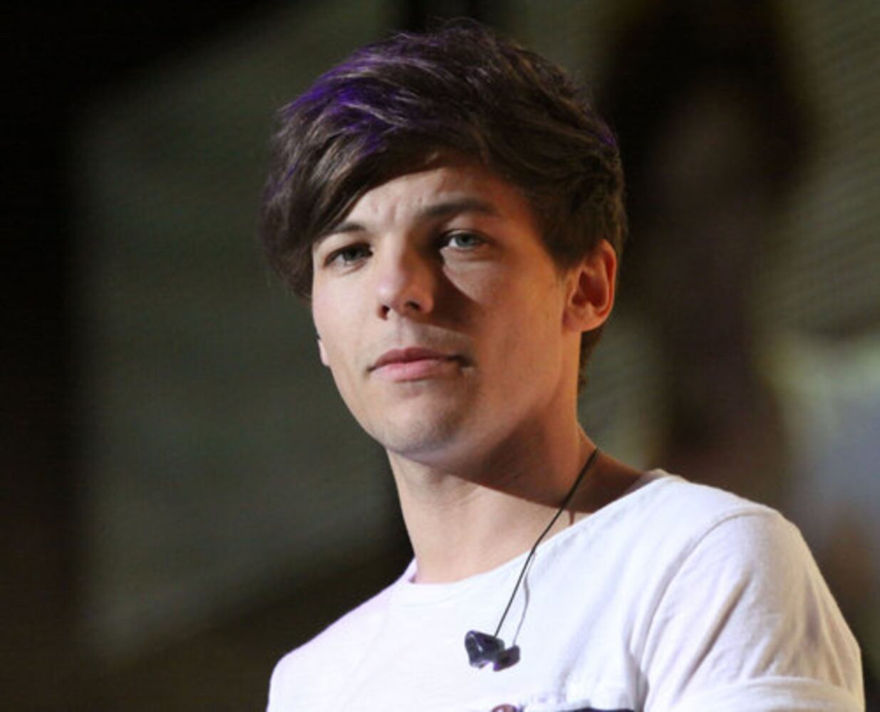 One Direction thrills Gwinnett crowd