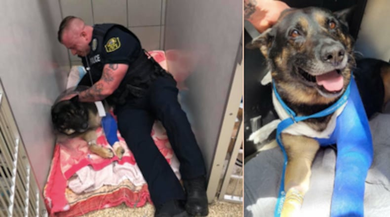 Police K-9 Officer Jerry Lee (right) shortly after being shot in the line of duty. His leg ultimately had to be amputated.