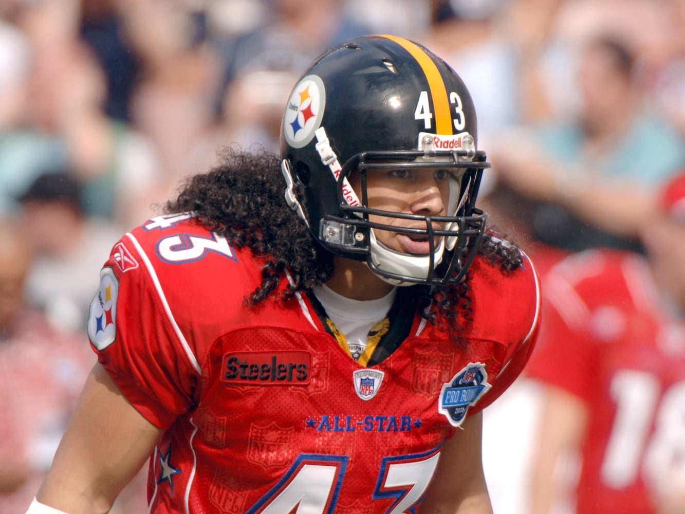 Troy Polamalu