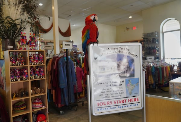 A parrot greets visitors at The Shri Shri Radha Krishna Temple in Spanish Fork, Utah, on Friday, April 25, 2025. (AP Photo/Jessie Wardarski)