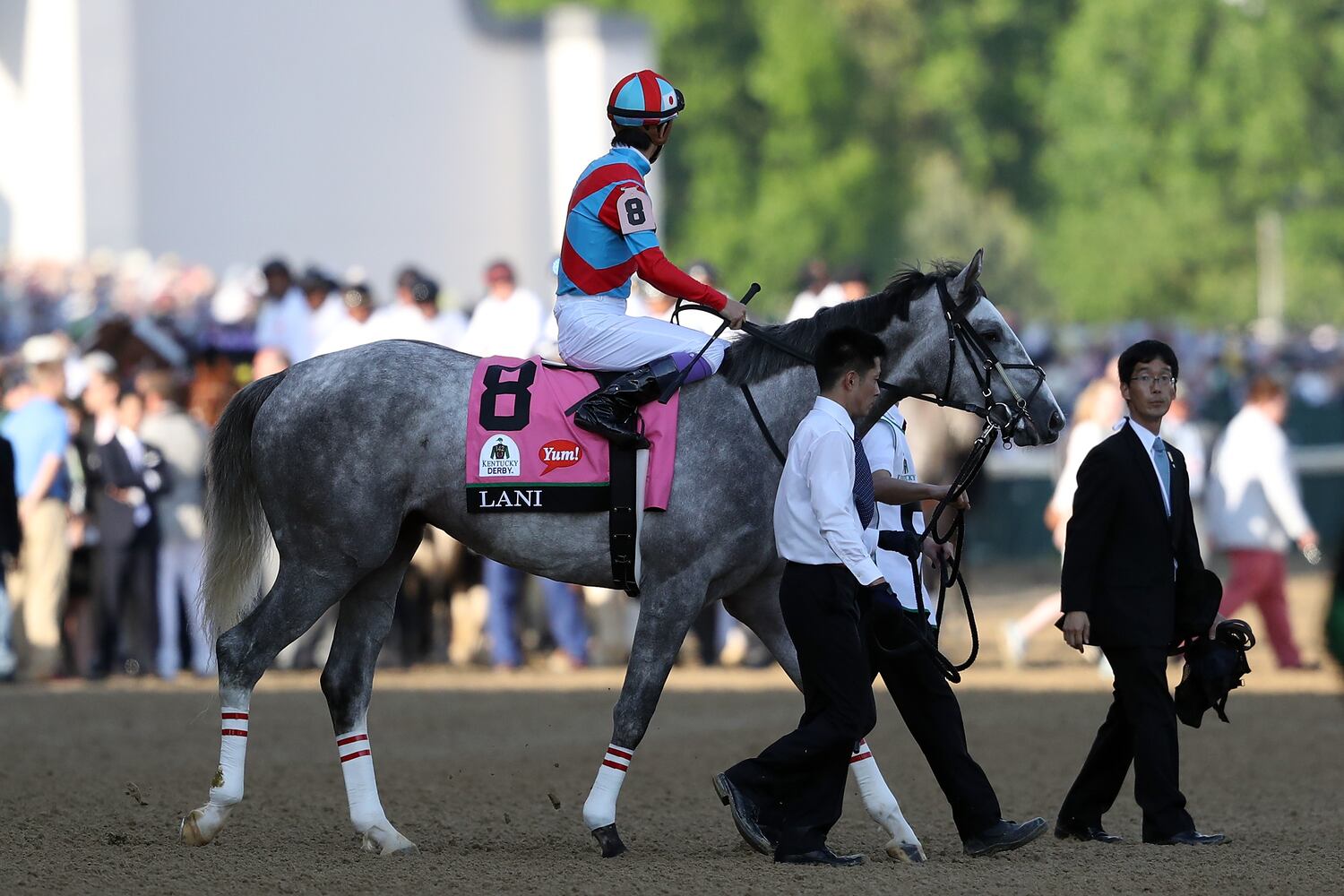 nyquist wins 142nd kentucky derby