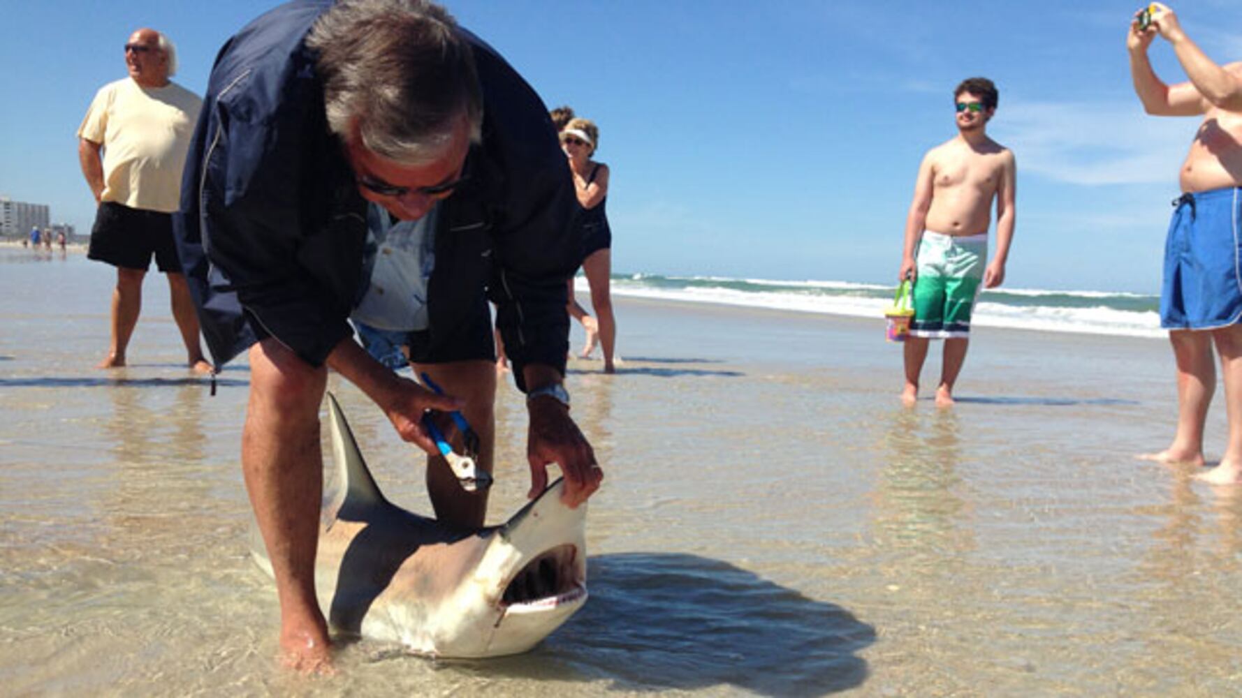 Fisherman catches shark off New Smyrna Beach