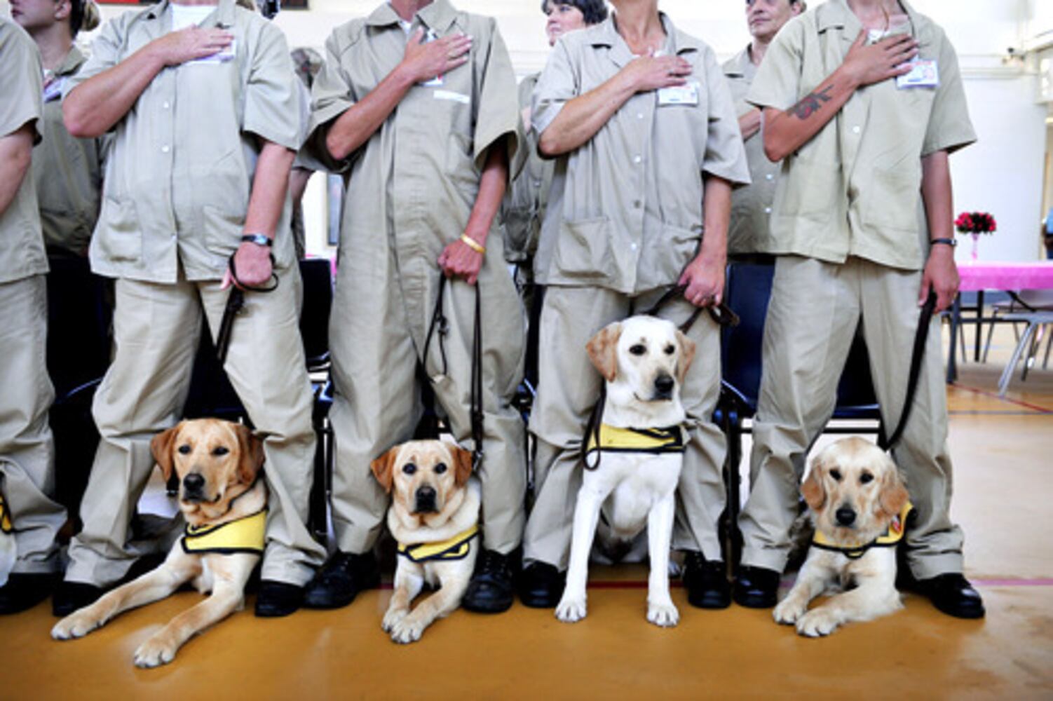 April 24, 2008: Today in Pictures