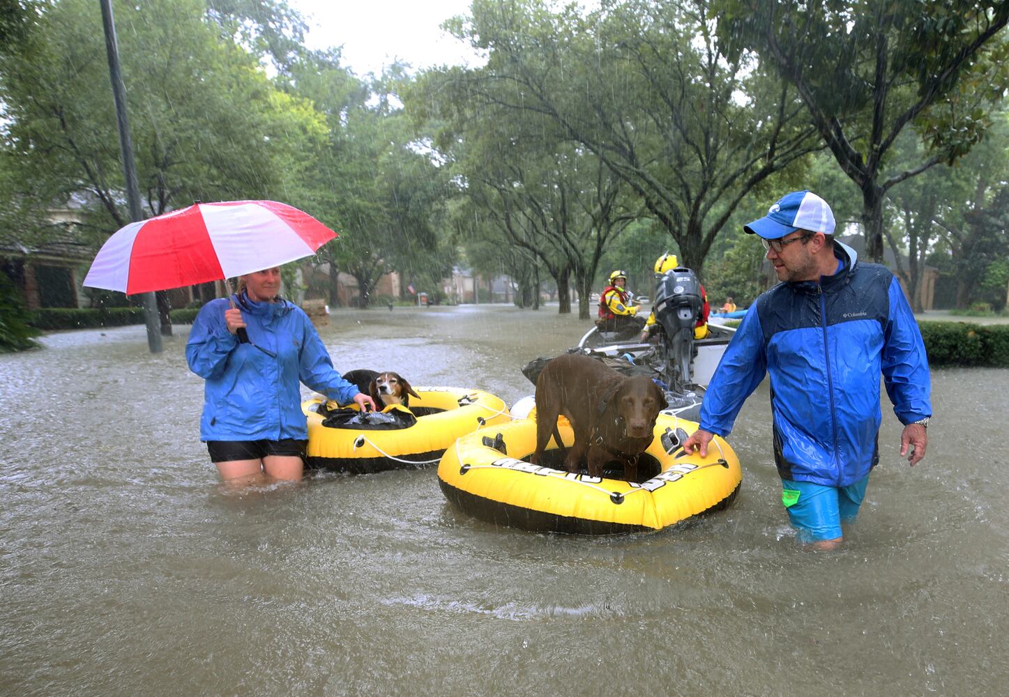 Photos: Harvey’s impact on people and their pets