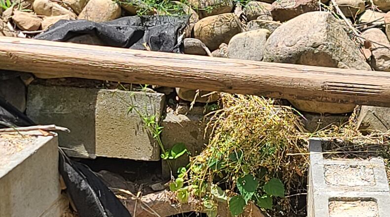 Tina Massmann wants this drain fixed.