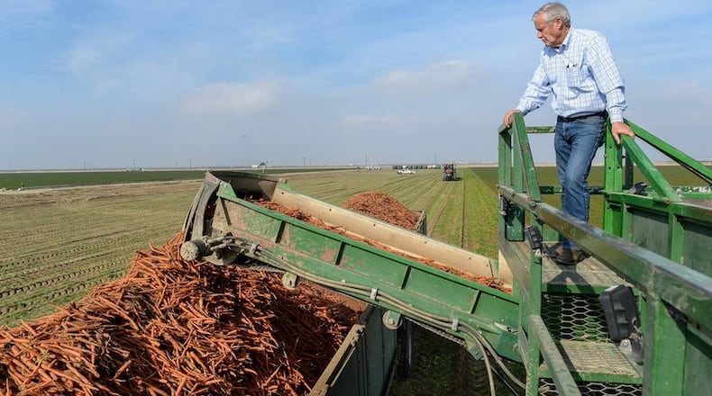 A Savannah woman has filed a lawsuit against a California producer of organic carrots, claiming she was infected by E. coli. (Craig Kohlruss/The Fresno Bee/TNS)