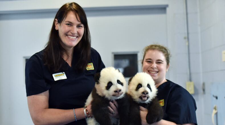Curator of mammals Stephanie Braccini (left) and Keeper II Jen Andrew hold twin panda cubs Xi Lun (left) and Ya Lun at Zoo Atlanta, as they prepare to weigh the cubs, which happens several times a day. HYOSUB SHIN / HSHIN@AJC.COM