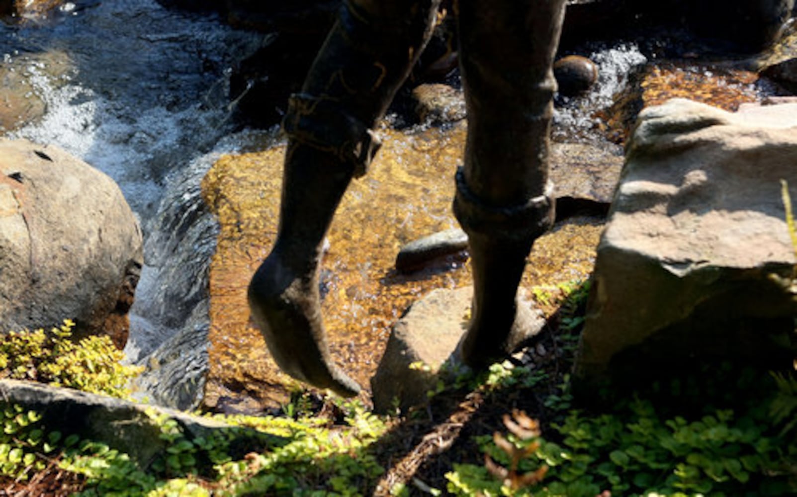 Arthur Blank's garden featured on tour