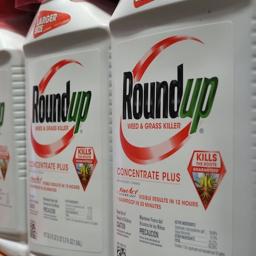 Monsanto has settled a $2 billion court case alleging its weedkiller, Roundup, caused a Georgia man's cancer. The verdict was the second largest in the state. (Robyn Beck/AFP/Getty Images/TNS)