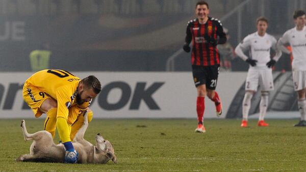 Vardar's goalkeeper Filip Gacevski, left, tries to catch a dog that entered the pitch during the Europa League group L soccer match between Vardar and Rosenborg, at Philip II Arena in Skopje, Macedonia, Thursday Dec. 7, 2017. (AP Photo/Boris Grdanoski)