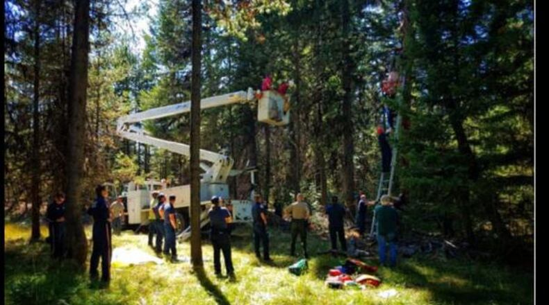 An electric utility bucket truck helped authorities untangle an Oregon hunter from a tree stand.