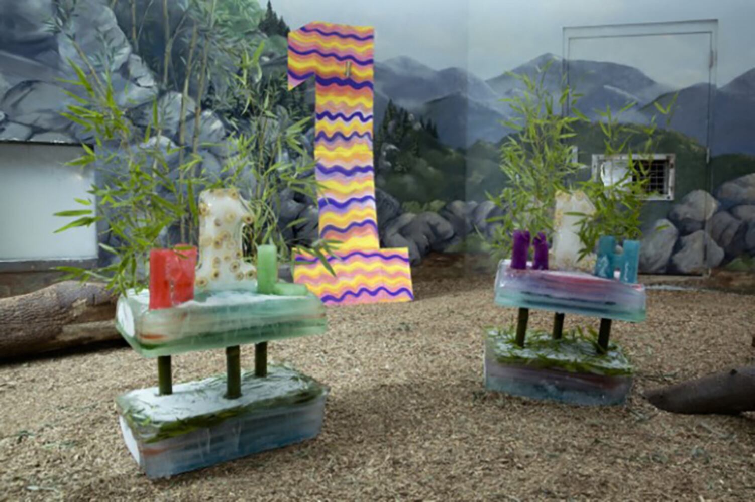 Zoo birthdays